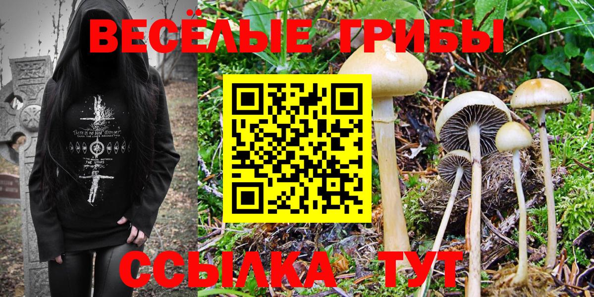 Псилоцибиновые грибы Magic Shrooms Рыбинск